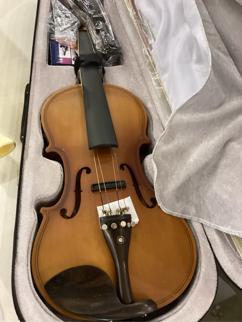  Violin 