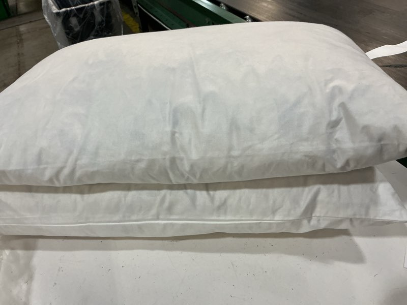 Condition photo showing Good Condition for premium feather pillow insert (set of 2), 12x20, no color