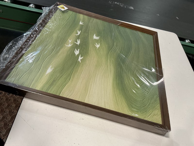 Condition photo showing As Is for vintage framed green abstract wall art, modern minimalist sage green canvas prints artwork for walls, rustic square birds pictures for living room bedroom dining room bathroom wall decor, 24x24 in 24"l x 24"w green-c