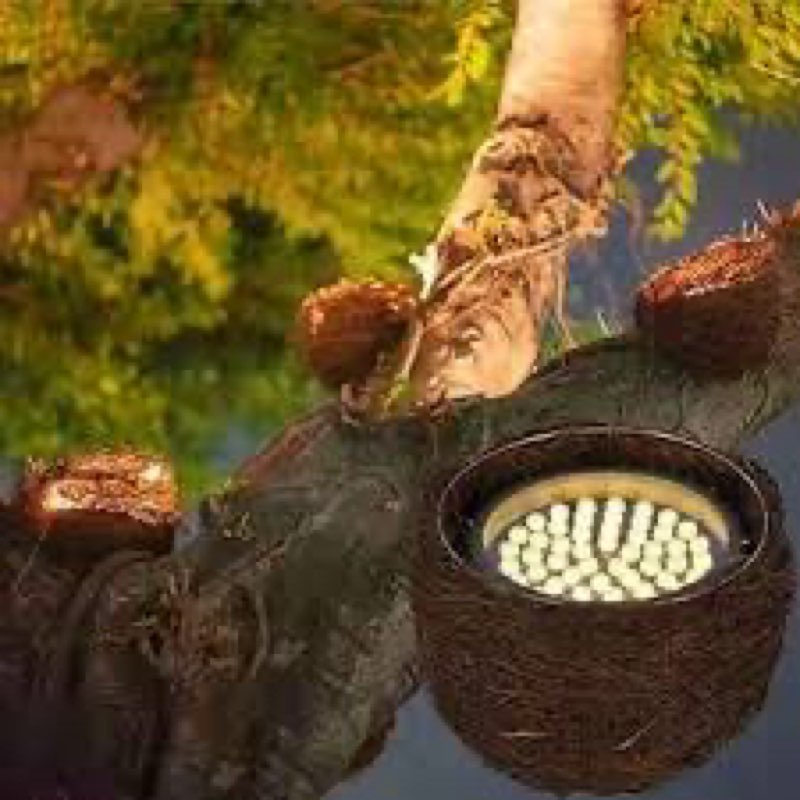 samvol bird’s nast - simulated landscape spotlight for bird’s nest, aluminum material, durable outdoor use, 110 v, waterproof garden light for patio and tree lighting of brand: samvol bird’s nast - simulated landscape spotlight for bird’s nest, aluminum material, durable outdoor use, 110 v, waterproof garden light for patio lighting and garden tree(similar no same)