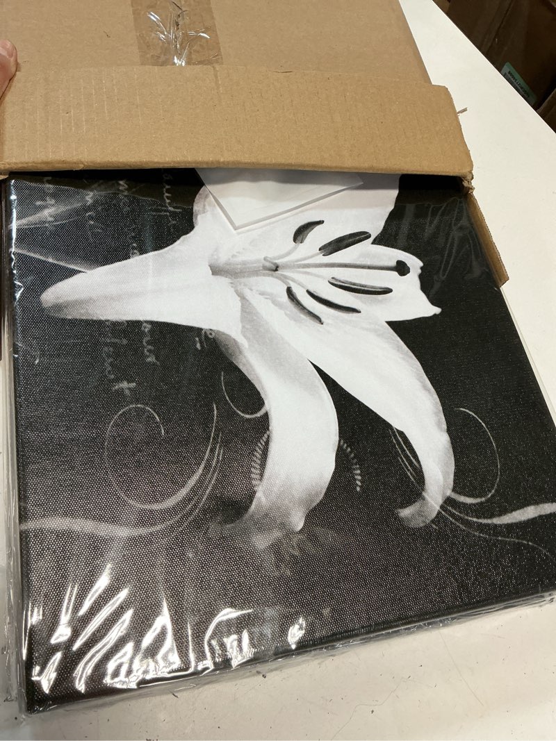 Condition photo showing New/Like New for Biuteawal - Flower Canvas Prints Art Magnolia Lily Flower Painting Black and White Floral Bloom Pictures Prints on Canvas Wall Decoration for Bedroom Framed Ready to Hang