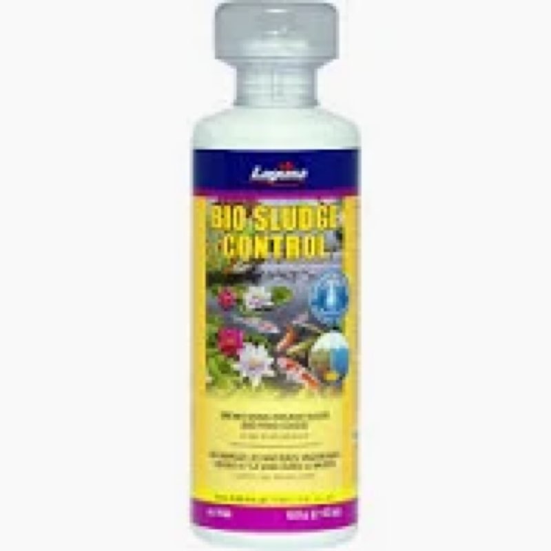 Harvest The Best Deals This Fall!