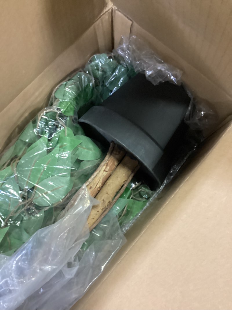 Condition photo showing Good Condition for 6ft ficus artificial tree with 3 natural curved trunks, 74" tall lush faux tree for home decor indoor, green lifelike fake ficus tree with black planter pot black planter 6ft