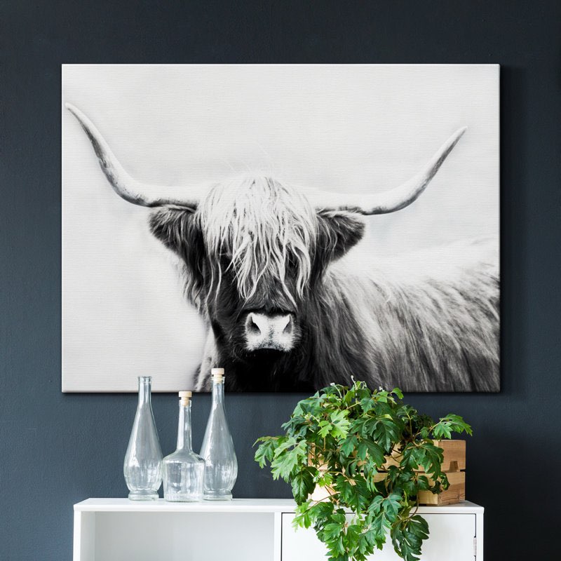 Highland Longhorn - Wrapped Canvas Painting Size: 32" H x 48" W x 1" D