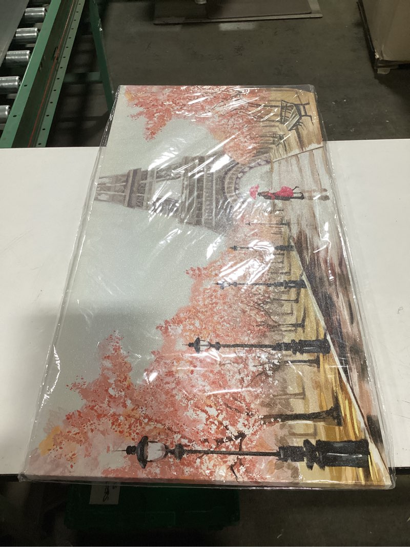 Condition photo showing Good Condition for Blossom Trees Wall Art Living Room Decor Eiffel Tower Paris Street Art Canvas Pictures Bedroom Wall Decor Modern Landscape Canvas Wall Art for Home Office Decoration Framed Art 20"x40"