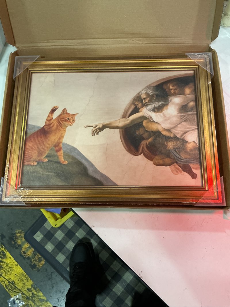Condition photo showing New/Like New for bruzyiye vintage gold framed cat wall art eclectic canvas art prints funny renaissance orange cat wall decor painting creation of adam parody pictures for bedroom living room 12x16inch cat and god framed 12"x16"