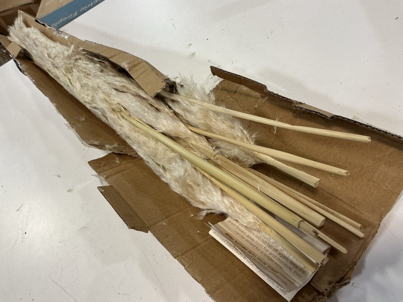 Condition photo showing As Is for Tall Pampas Grass 10PCS Boho Decor Natural Home Decor Phragmites Dried Flowers Bouquet for Wedding Floral Arrangements Home Decorations (10PCS Tall Pampas Grass)