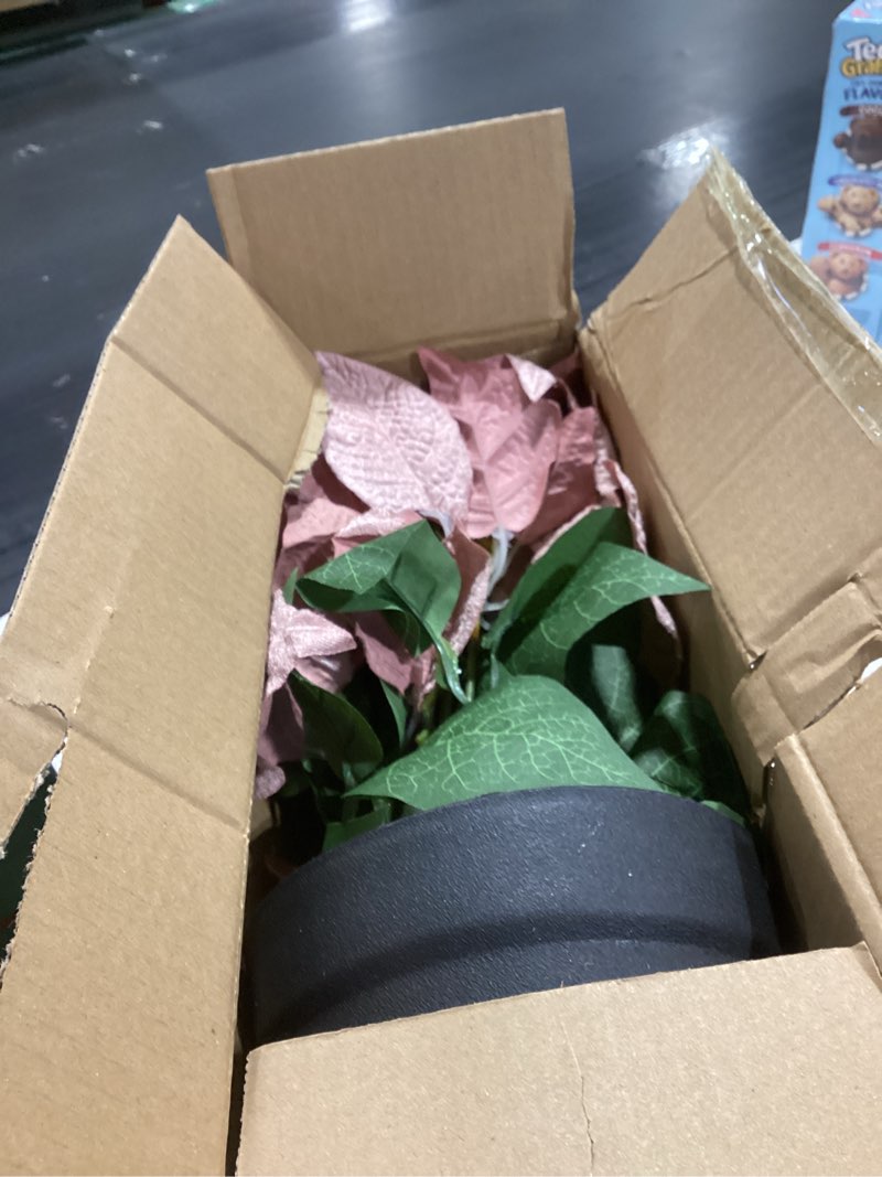 Condition photo showing New/Like New for Poinsettia Artificial Christmas Flowers in Pot 9 Heads,15.7 Inch Large Fake Poinsettias Plants for Home Porch Office Indoor Outdoor Christmas Winter Decorations Pink