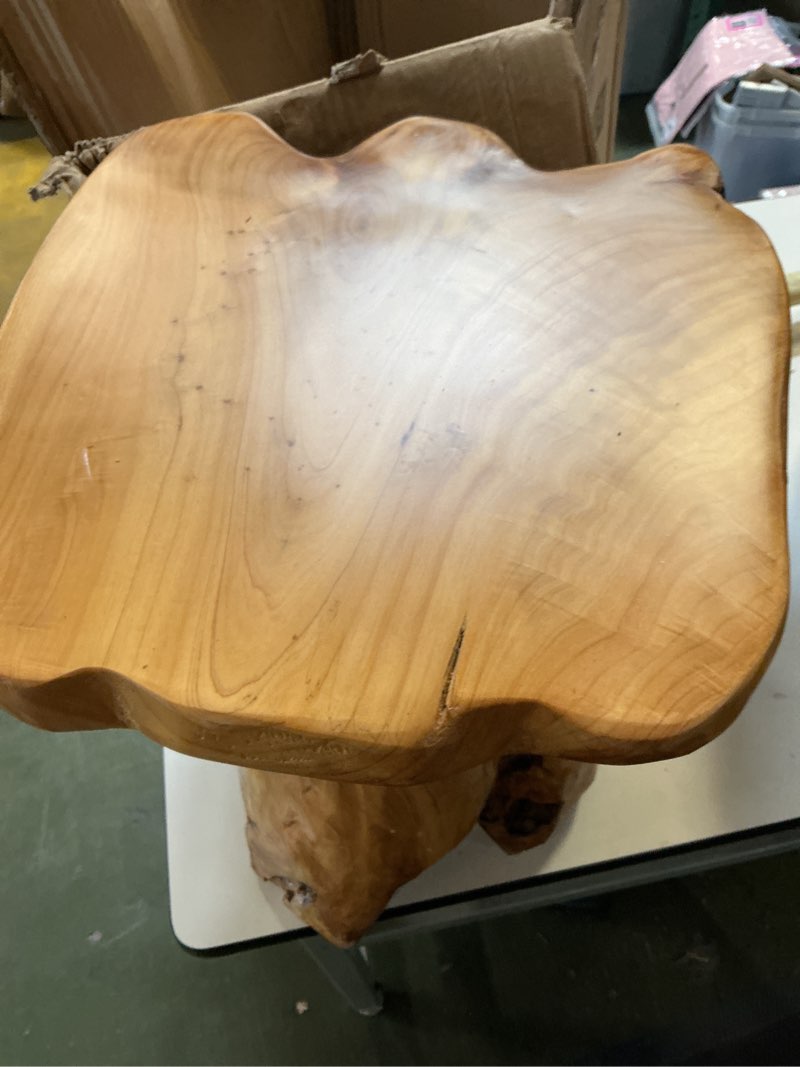 Wood Step Stool, Unique Design Live Edge Wood Stool, Freeform Natural Plant Stand for Garden, Yard, Living Room, Bedroom