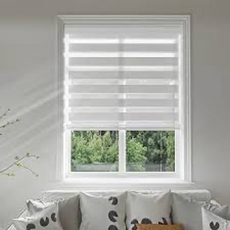 Changshade Cordless Zebra Blinds for Windows,Free-Stop Zebra Roller Shade Dual Layer Light Filtering