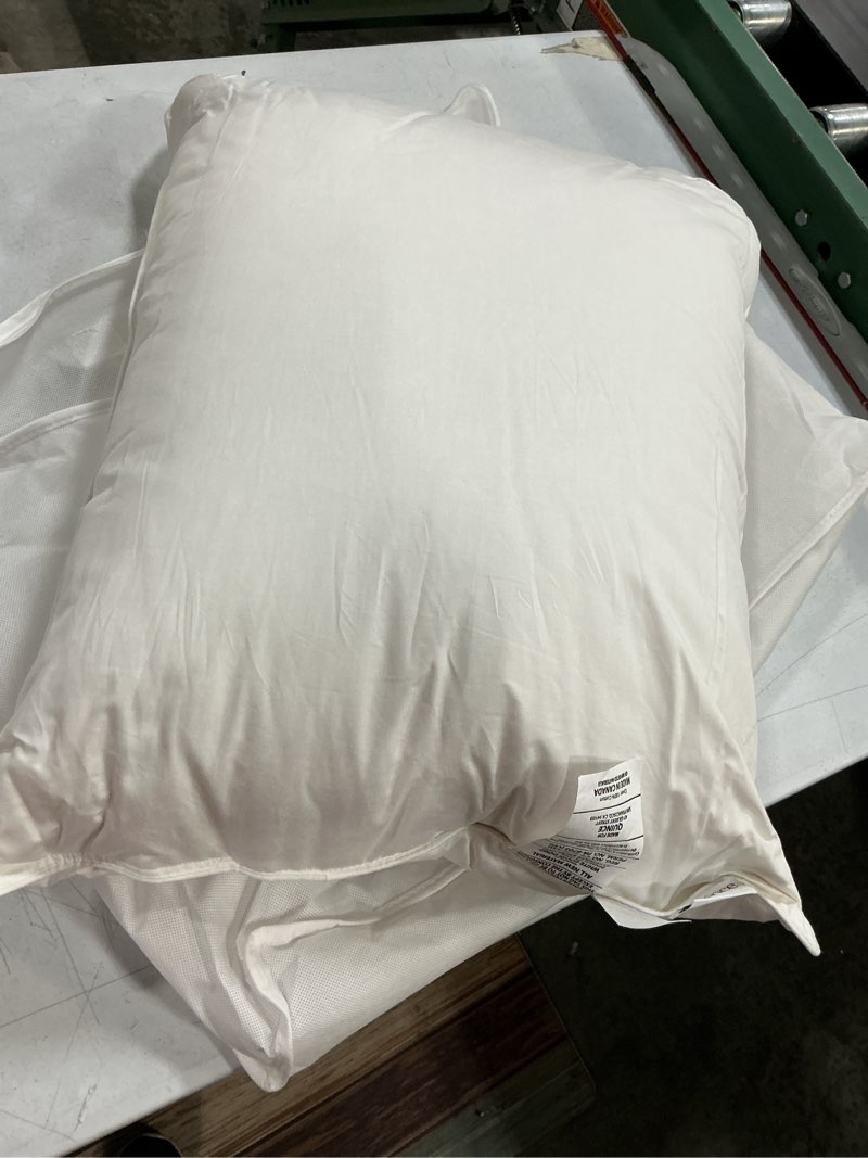 Condition photo showing Good Condition for luxe goose down pillow, standard, firm/extra firm