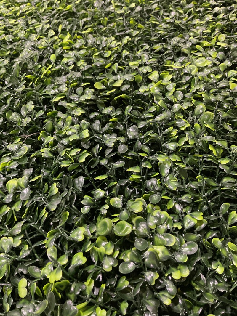 Condition photo showing New/Like New for sunnyglade 12 pieces 20"x 20" artificial boxwood panels topiary hedge plant, privacy hedge screen sun protected suitable for outdoor, indoor, garden, fence, backyard and decor (12pcs) 20in x 20in