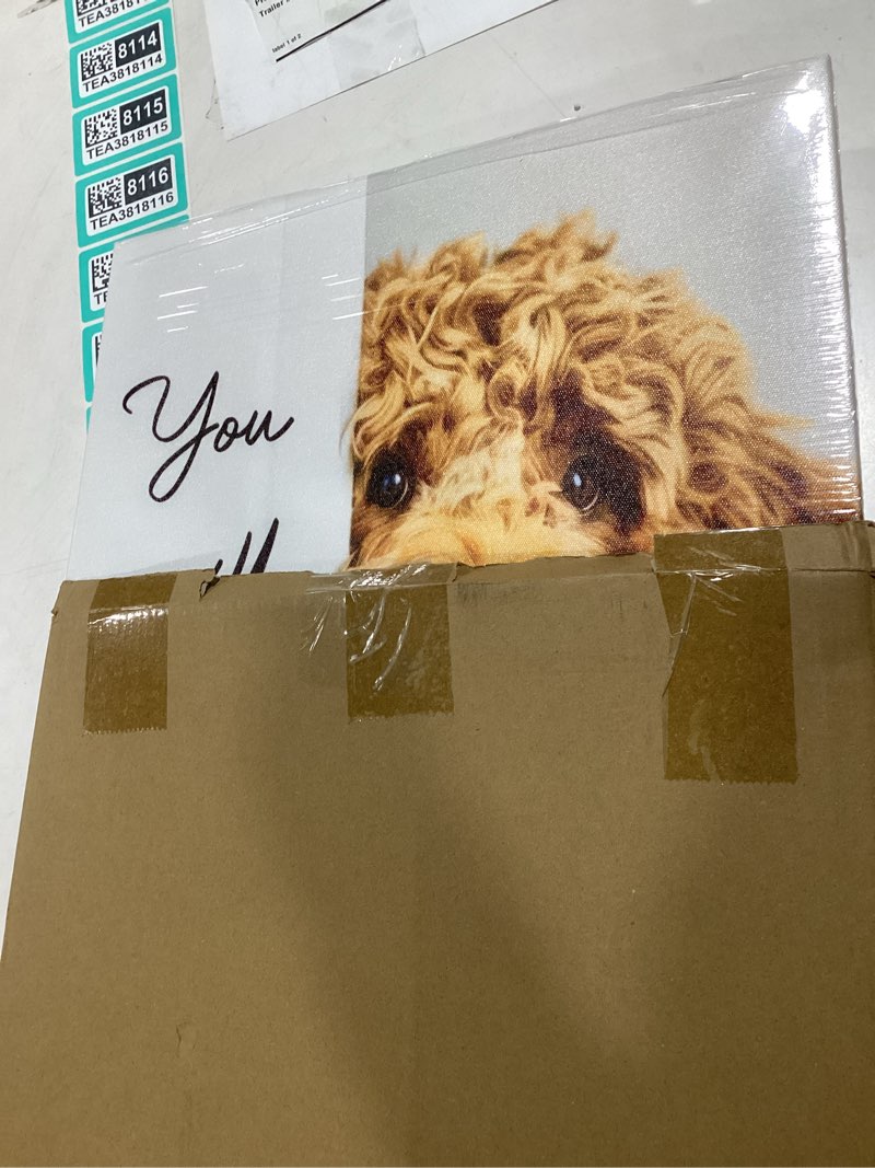 Condition photo showing New/Like New for Funny Dog Bathroom Canvas Wall Art Cute Animal Humorous Goldendoodle Painting Pictures Restroom Wall Decor You Will Never Pee Alone Poster Print Artwork for Toilet Nursery Decor 16x24in Canvas 16"W x 24"L