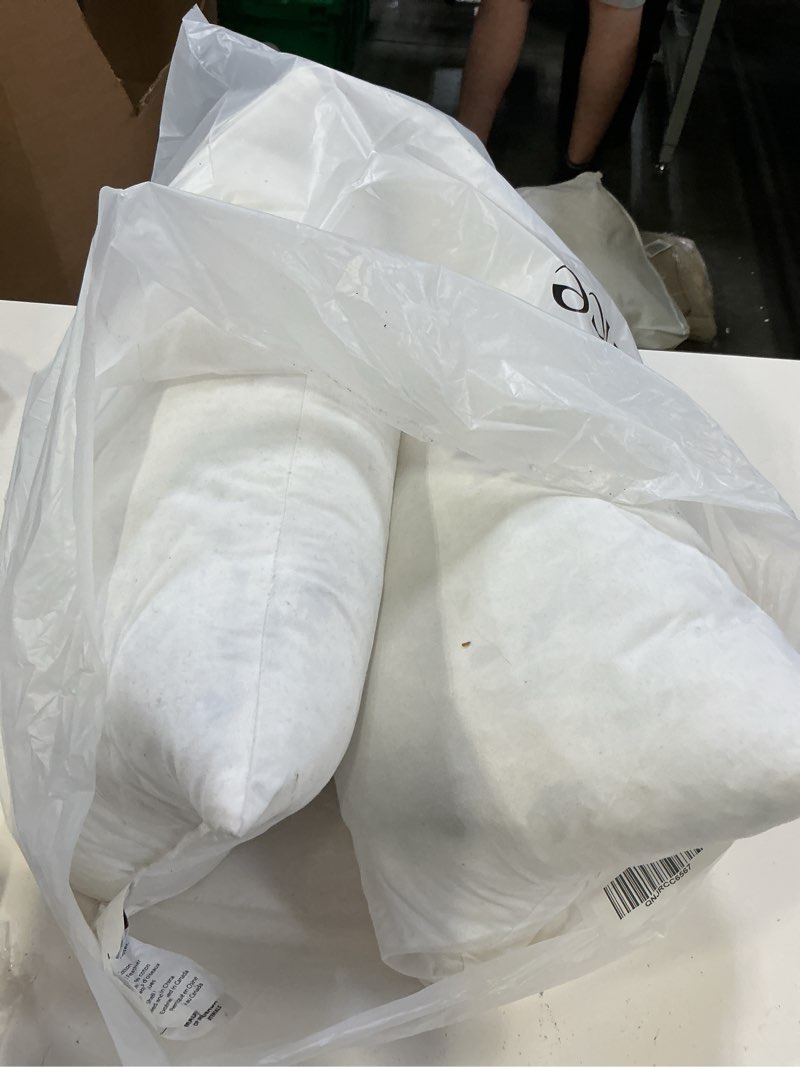 Condition photo showing As Is for premium feather pillow insert, 12x48, no color