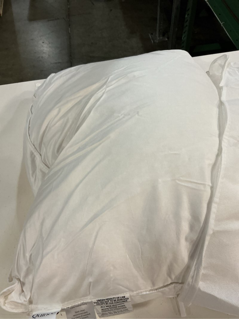 Condition photo showing Good Condition for luxe goose down pillow, standard, medium/firm