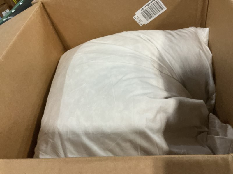 Condition photo showing Good Condition for JA COMFORTS 28×28 Premium Goose Down Feather Throw Pillow Inserts(Set of 1)-5% Down Filling,High Filling Weight,250 TC Cotton Cover, Square, White 28×28 (1 Pack)