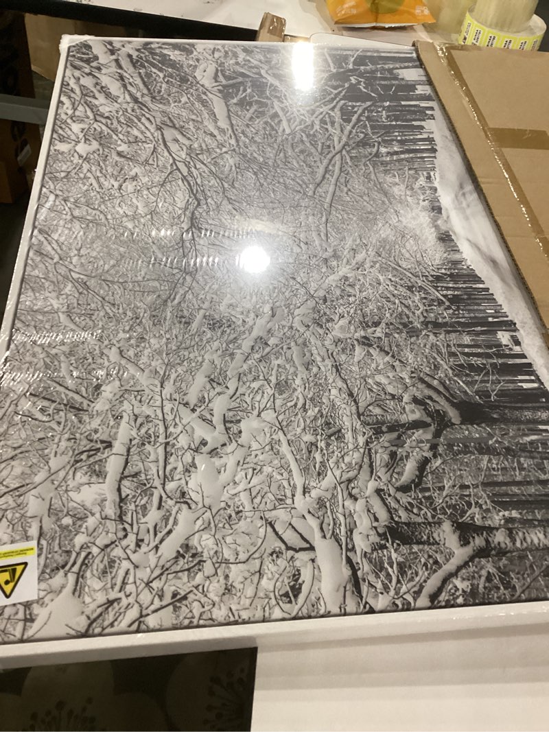 Condition photo showing Good Condition for similar to photo framed music wall art, neutral vintage sheet music canvas prints artwork for walls, rustic tree picture for hallway entryway bedroom dining room office living room wall decor, 24x36 in 36\"l x 24\"w beige