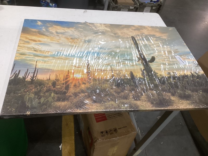 Condition photo showing New/Like New for hjy art cactus garden at sag... decorations (24'' hx 36'' w)