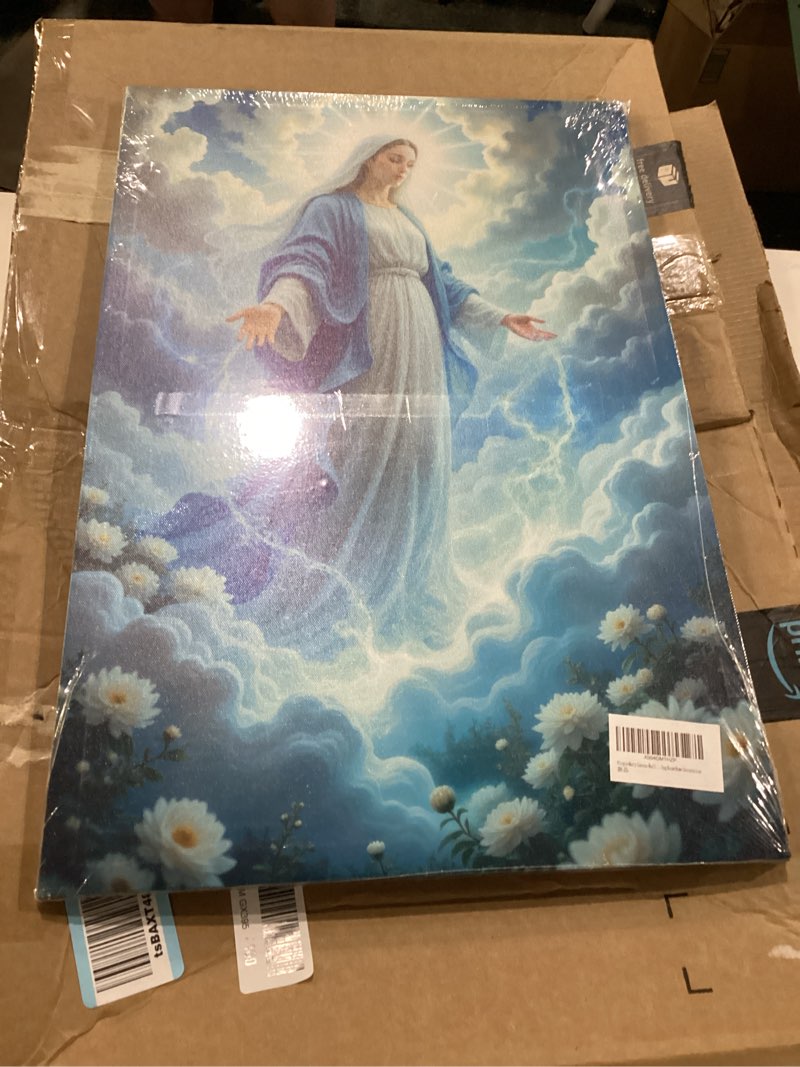 Condition photo showing As Is for (ightlyndamadged)virgin mary canvas wall art. catholic art painting picture wall decor. mother of jesus posters print artwork for church bedroom living room home decoration blue 16\"l x 24\"wl