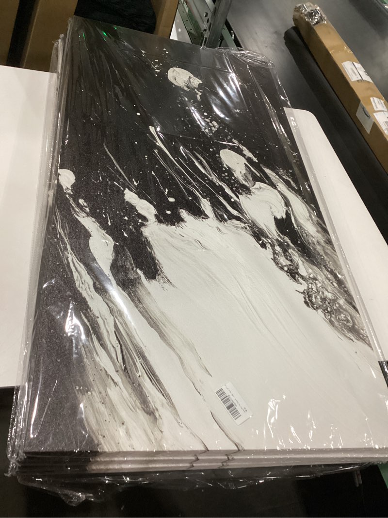 Black and white cavas wall art 20x10