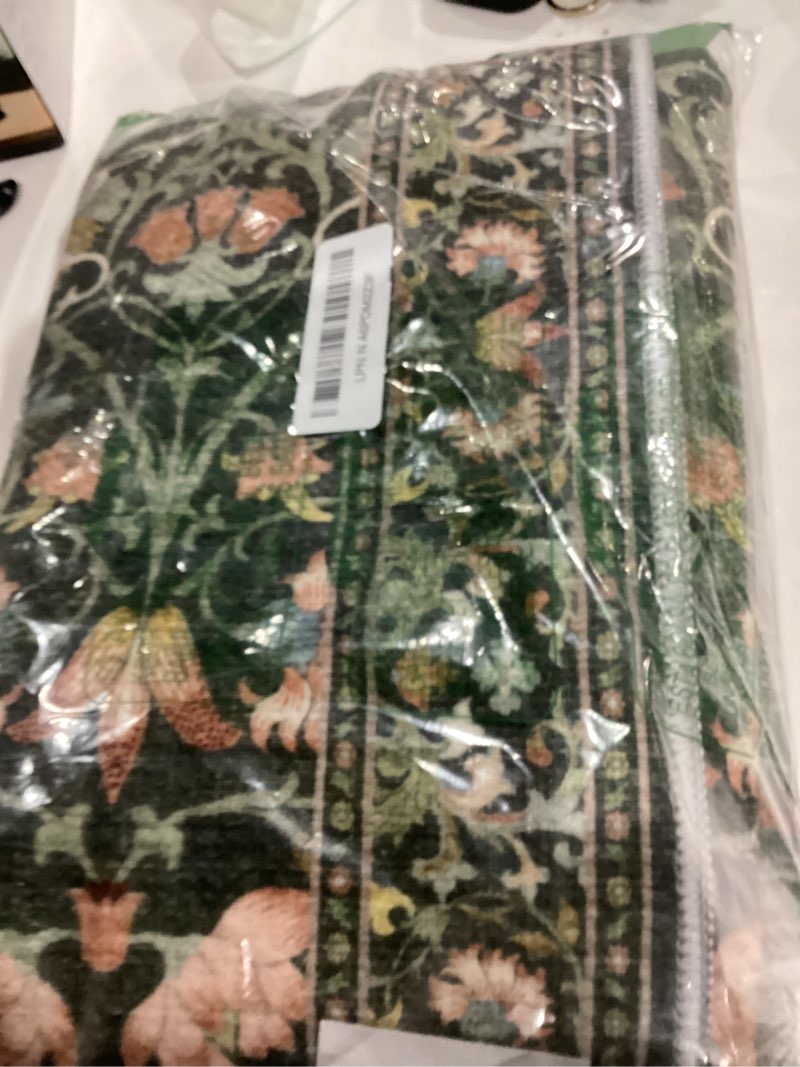 Condition photo showing Good Condition for 2x6 Washable Hallway Runner Rug: Vintage Floral Kitchen Rugs with Non-Slip Backing Low Pile Water Resistant Carpet for Living Room Bedroom Soft Floor Mat for Bathroom Laudry Dining Room(2x6,Green) 2' x 6' (Rectangular) Green