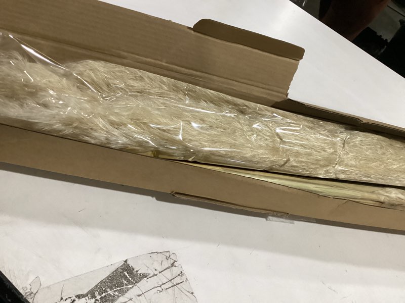 Condition photo showing Good Condition for 40" inch 10 Stems Natural Pampas Grass Decor Tall, pompas Grass, Tall Pampas Grass for Wedding, Party, Farmhouse, Boho Home Decor