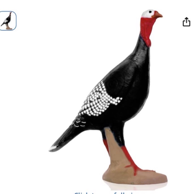 Condition photo showing Good Condition for delta mckenzie alert turkey 3d archery target - 34" self-healing flexfoam with universal scoring rings - uv resistant for broadheads & field points