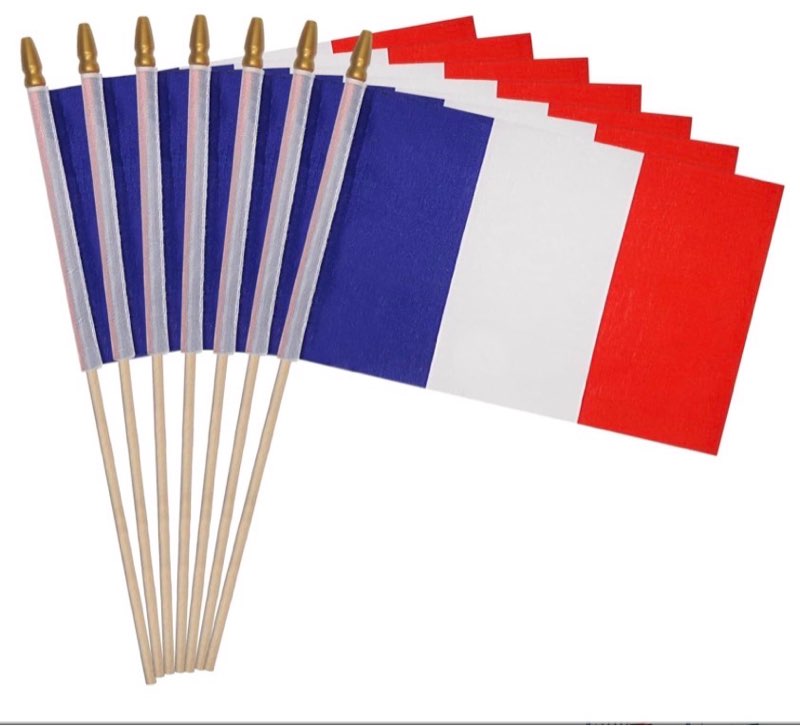 Yingnner 12 Pack France Stick Flags Small 12x18 Inch French Hand Held Flags with 24 Inch Wooden Pole