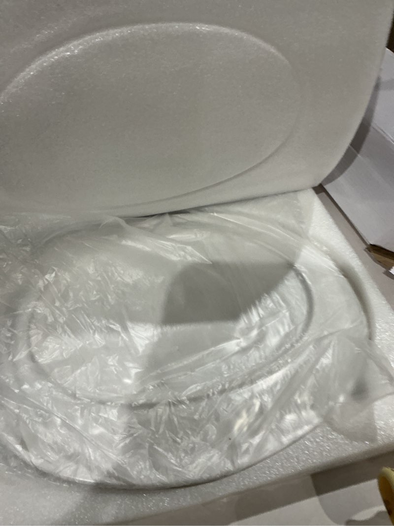 Condition photo showing Good Condition for Holiday Serving Platter Thanksgiving Turkey Serving Set - Large Ceramic Turkey Platter & Turkey Baster Injector - Perfect for Holiday Dinners