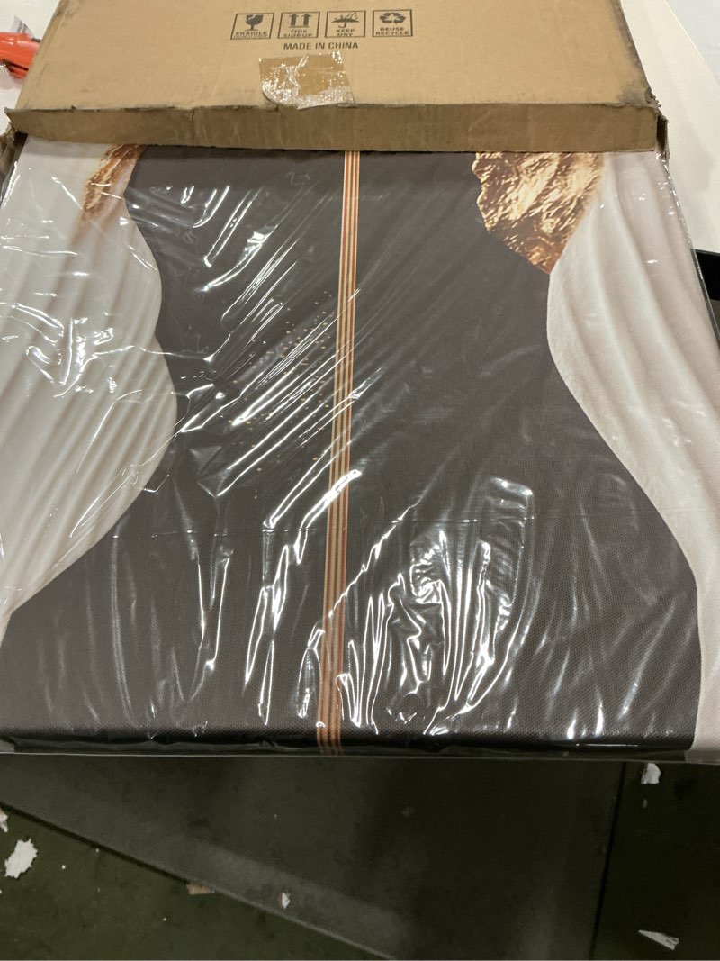 Condition photo showing New/Like New for Large Abstract Canvas Wall Art Modern Black and Gold Wall Decor for Living Room Geometric Gold Circles Design Picture Black White Foil Ink Prints Arts Contemporary Artwork Bedroom Decoration 14x48" 48"L x 14"W Geometric