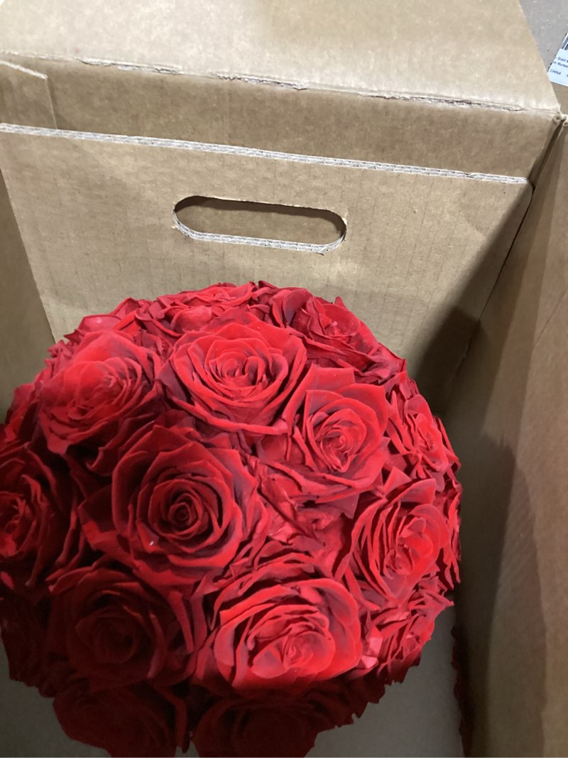 Condition photo showing New/Like New for 27 Forever Roses Dome in Luxury White Box, Eternal Real Roses Birthday Gifts for Women, Preserved Flowers for Delivery Prime, Anniversary, Valentine's Day, Mothers Day for Mom (Red) Red Dome 27 Roses Dome