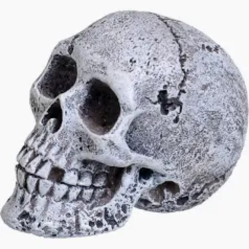 Underwater Treasures Mini Skull Fish Aquarium Ornament