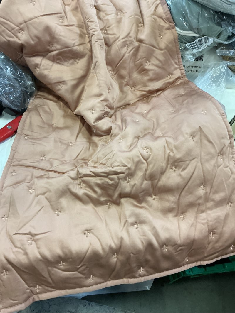 Condition photo showing Good Condition for bamboo dream quilted sham set color clay 20in x 36in