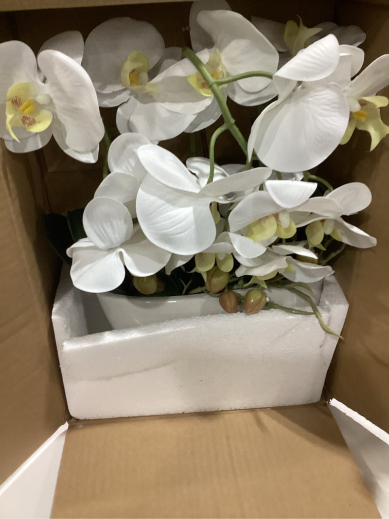 Condition photo showing Good Condition for ziwon artificial orchid flowers potted in ceramic pot, white faux phalaenopsis orchids for table centerpiece, realistic fake flower in vase for home office decor indoor ww 05