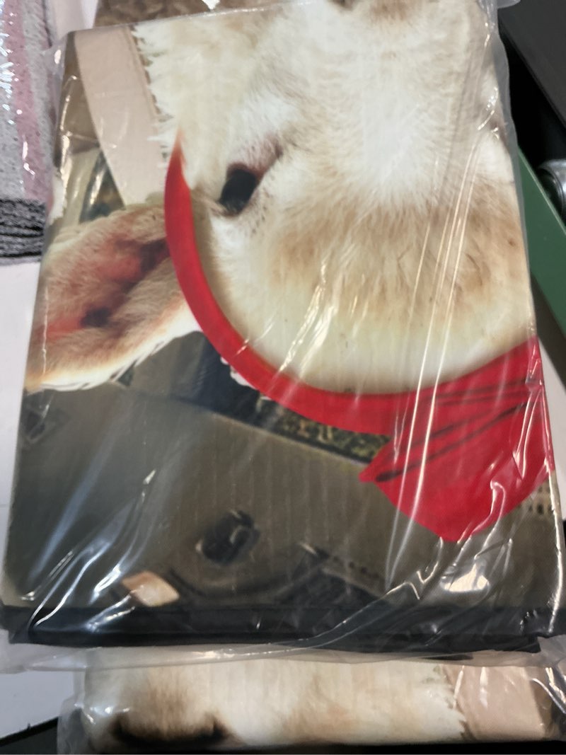 Condition photo showing New/Like New for Elephants Foldable Windshield Snow Cover, Reflective Accordion Car Windshield Snow Cover, Sun Visor for Car Windshield, Ultimate Heat & UV Protection, Suitable for Most Cars, 54\" L x 27.6\" W 54\" L x 27.6\" W American Flag, Elephants Elephants Foldable Windshield Snow Cover, Reflective Accordion Car Windshield Snow Cover, Sun Visor for Car Windshield, Ultimate Heat & UV Protection, Suitable for Most Cars, 54\" L x 27.6\" W 54\" L x 27.6\" W American Flag, Elephants