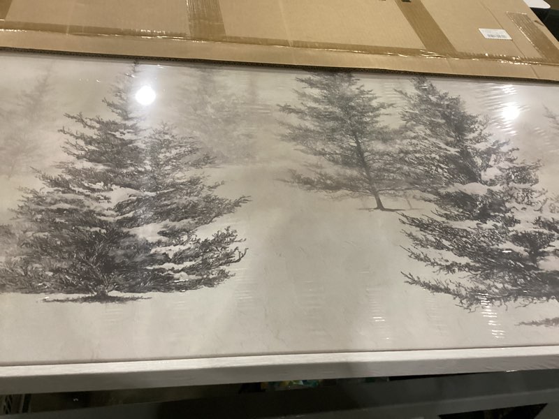 Condition photo showing New/Like New for framed black and white forest landscape wall art, modern minimalist pine tree canvas art prints, contemporary nature pictures wall decor for living room bedroom dining room hallway office 24x36 in 36"l x 24"w black and white pine tree