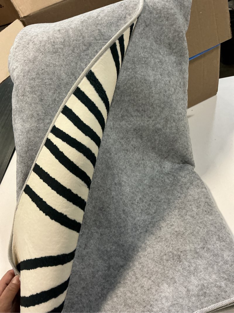 Condition photo showing Good Condition for YIHOUSE 5×7Ft Area Rugs, Abstract Washable Rug, Modern Black and White Rug for Bedroom Living Room Dining Room Office Playroom Nursery, Nonslip Throw Non-Shedding Thin Contemporary Striped Rugs Modern Lines Beige 5' x 7' (Rectangular)