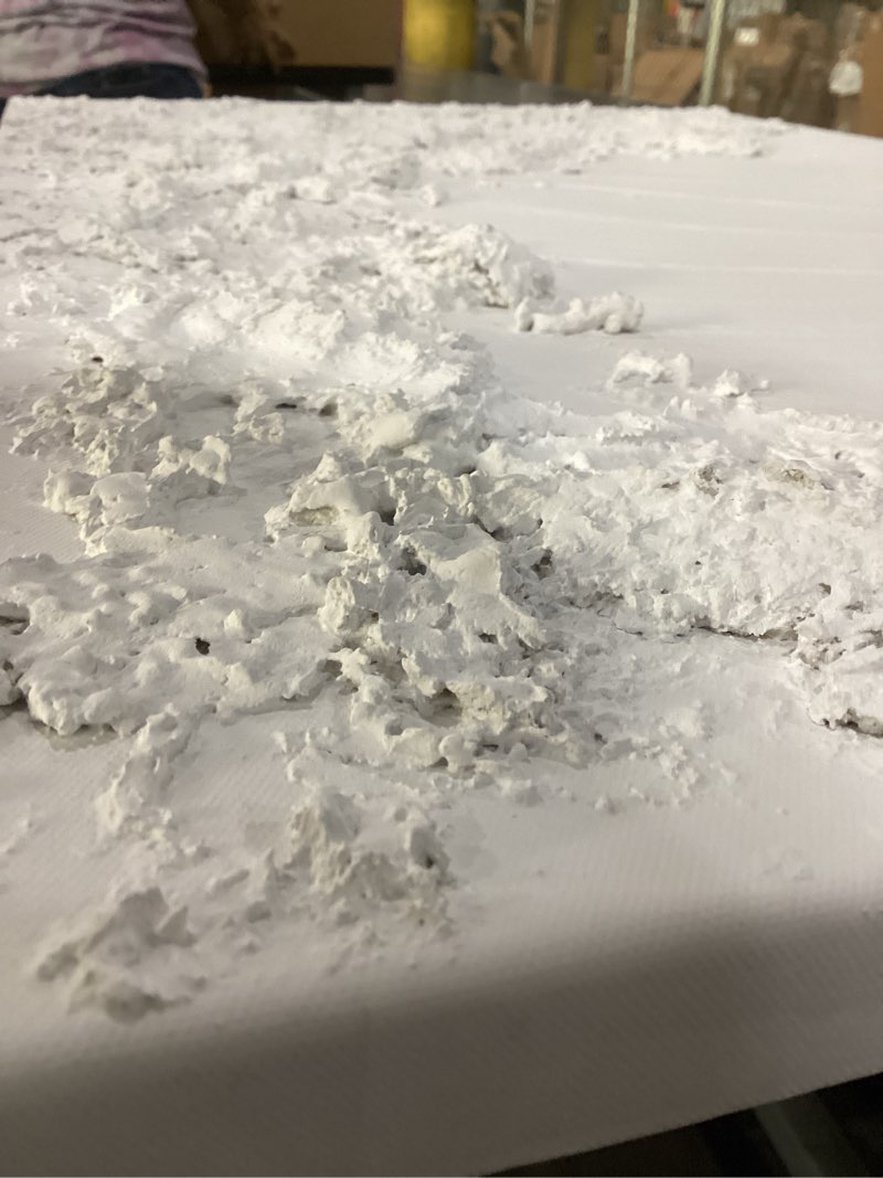 Condition photo showing As Is for 3D wall art