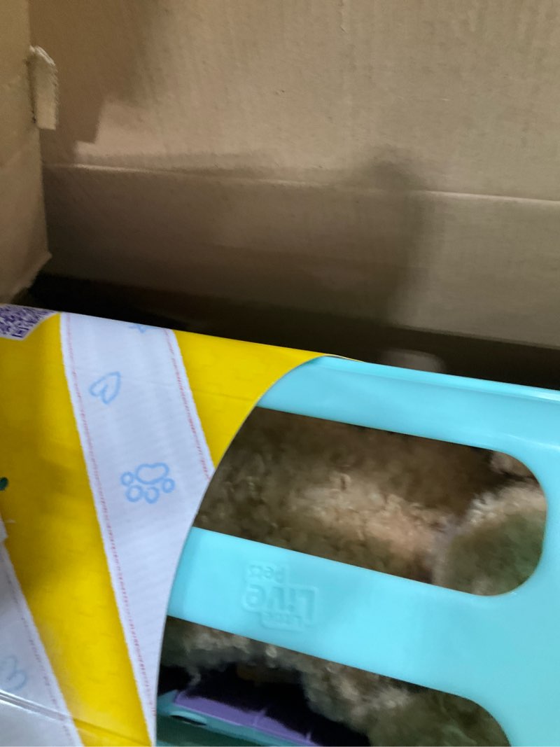 Condition photo showing New/Like New for Little Live Pets Ouchies Amazon Exclusive Hazel The Poodle Plush, 50+ Sounds, Limping to Walking Puppy Toy & Carrier, Interactive Toy Dog for Kids 5+