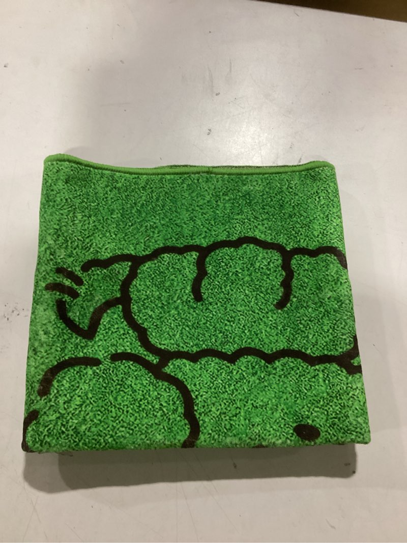 Condition photo showing Good Condition for Dog Door Mat for Muddy Paws, 20x30 Absorbent Low Pile Mud Rug, Non-Slip Washable Indoor Doormat for Dogs, Quick Dry Dirt Trapping Entryway Floor Mat for Inside, Doorway, Hallway, Pet Bed, Green 30"L x 20"W Green A02