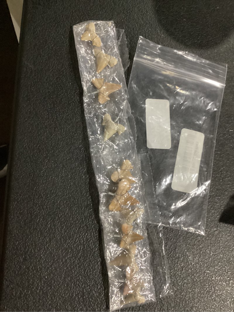 Condition photo showing New/Like New for fun-weevz real fossil shark teeth for jewelry making, assorted sharks tooth pendant jewelry accessories for necklace, small bulk lot assorted size and color wire wrapped fossils natural-12pc