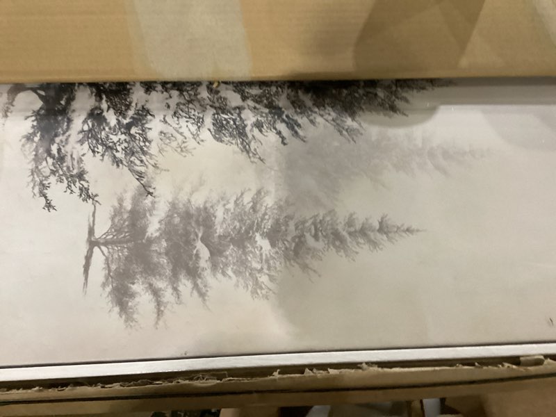 Condition photo showing New/Like New for framed black and white forest landscape wall art, modern minimalist pine tree canvas art prints, contemporary nature pictures wall decor for living room bedroom dining room hallway office 24x36 in 36"l x 24"w black and white pine tree