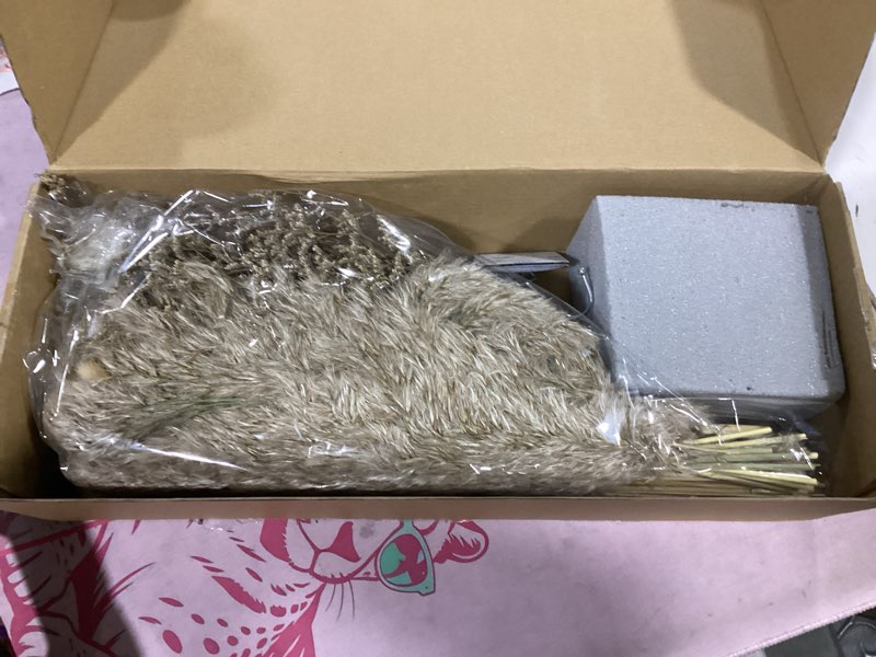 Condition photo showing New/Like New for layhit 1 set boho dried flower wall hanging 35 inch pampas grass bouquet dry flower for vase crafts diy handmade floral plant weeding arch decor(white)