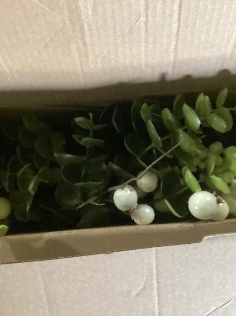 Condition photo showing Good Condition for Vlorart 20 Inch Artificial Spring Summer Christmas Greenery Wreaths for Front Door Green Eucalyptus Leaf Wreath Decor Boxwood with Big Berries for Farmhouse Outside Year Round 20inch