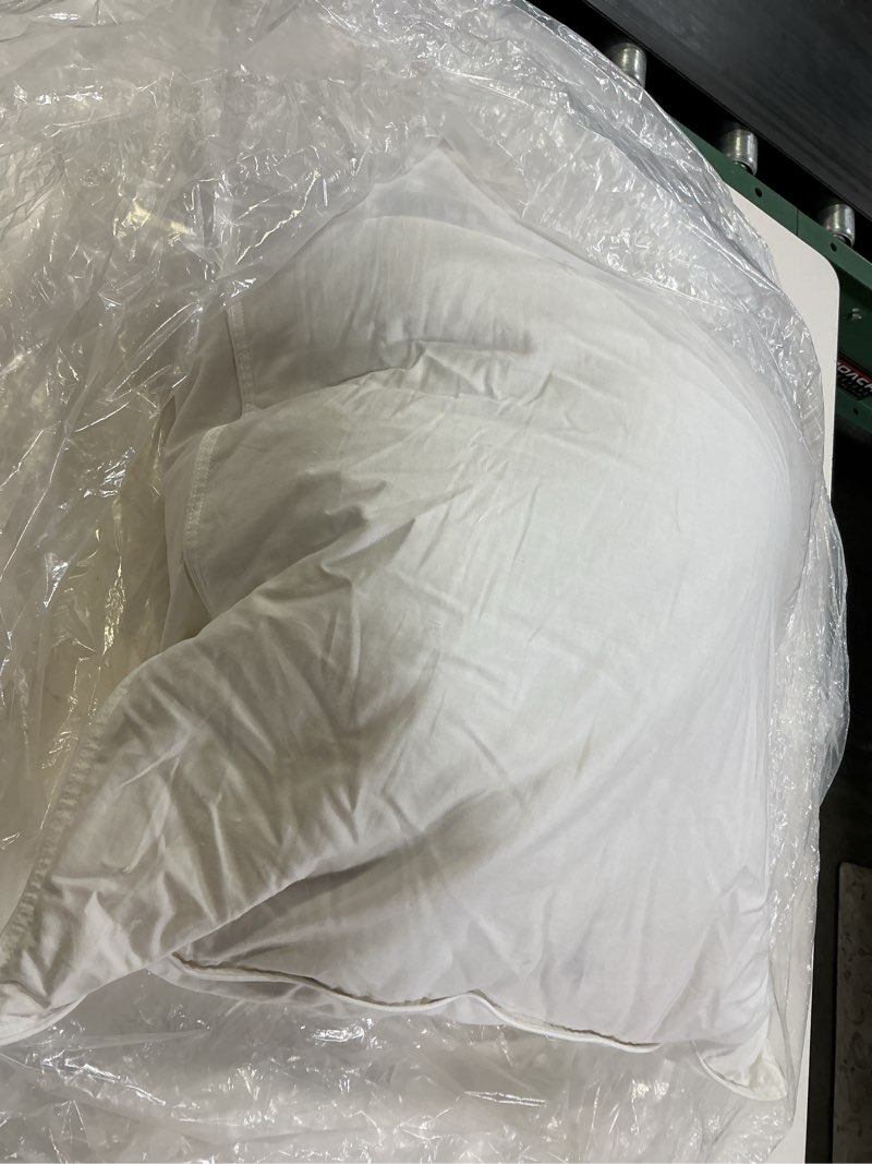 Condition photo showing Good Condition for premium down pillow, standard, firm