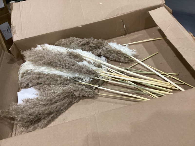 28" inch 20 Stems Large Pampas Grass Decor - Fluffy Brown & White Pampas Grass Decor Tall Pompas Gra
