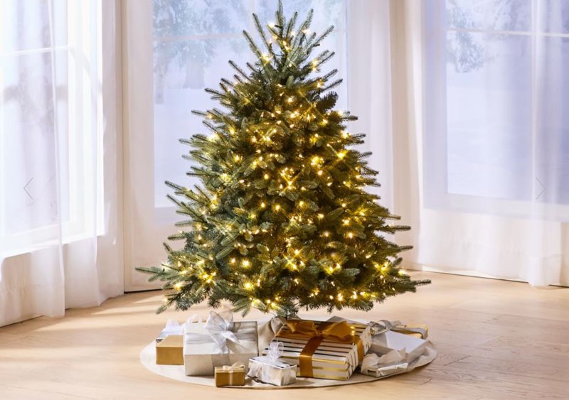 The World's Best Prelit Blue Spruce