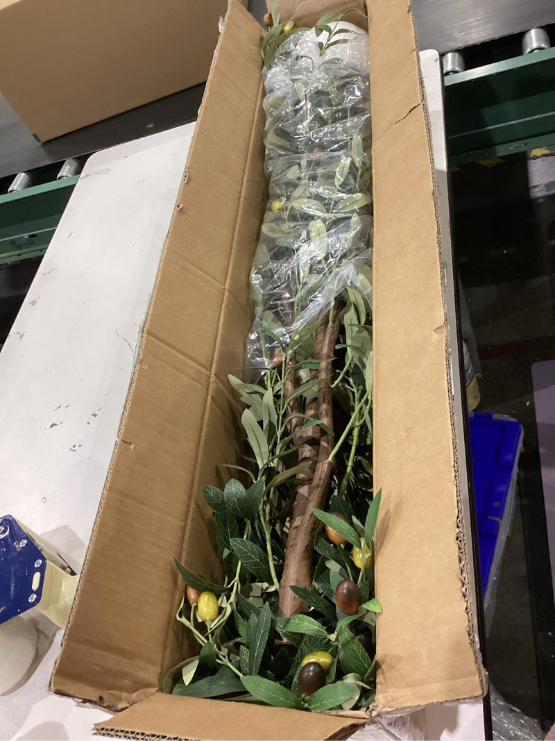 Condition photo showing Good Condition for 6FT Artificial Olive Tree - Indoor Tall Faux Olive Trees with Planter&Basket, Large Fake Olive Silk Tree Realistic Olive Plants with Branches and Fruits for Home Decor Office Living Room 6ft Olive Tree With Planter&basket Green 1