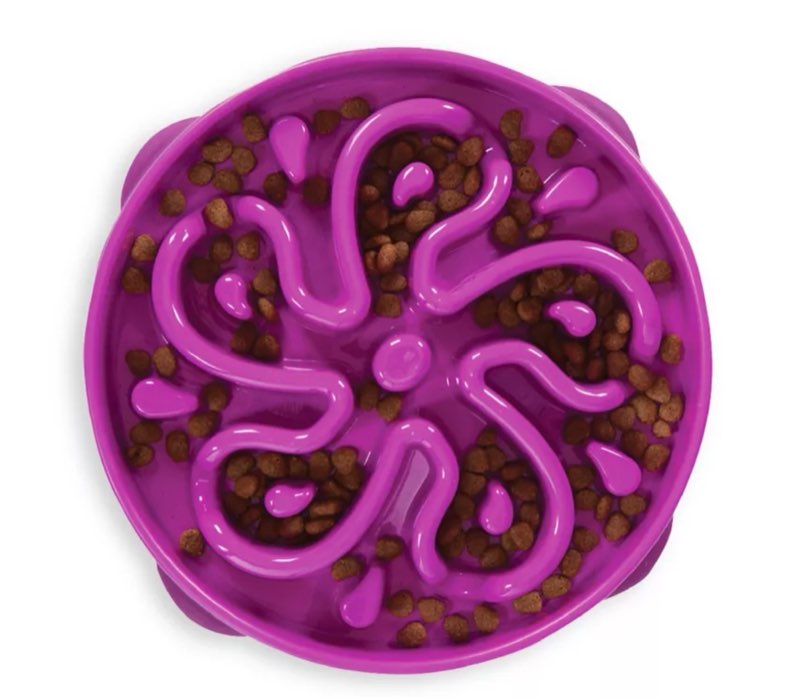 Outward Hound Large Slow Feeder Bowl, Puzzle Maze for Fast Eaters, Medium to Large Dogs, Helps Preve