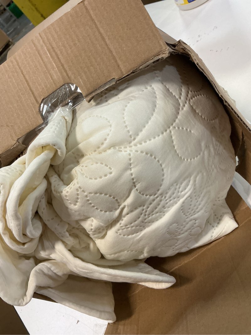 Condition photo showing Good Condition for Bedsure Quilt King Size - Ultra Soft Pre-Washed Cloud-Like Bedding, All-Season Lightweight Comforter for Country Bedroom, Leaf Design Coverlet in Cream Yellow, 106 x 96 Inches 20 - Cream Yellow - Leaf King
